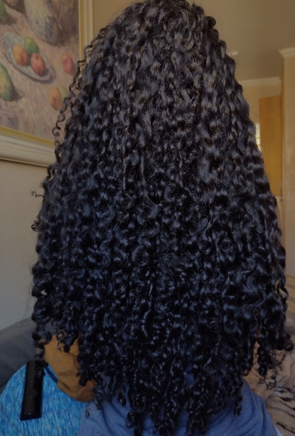 Raw Burmese Curly